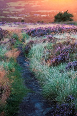 stonefreedreamer:  0rient-express:  Warm sunset glow | by Andrew Kearton.  wow. those colors.  