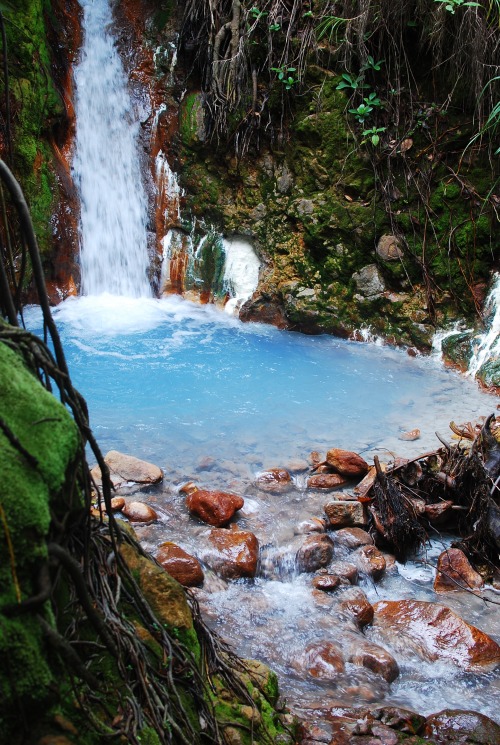 janetbering: Trois Pitons National Park, Dominica, December 2013