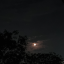 silentquils-blog