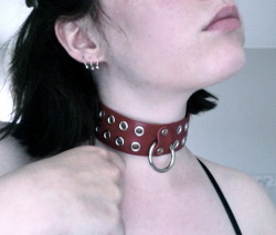 acertainjourney:  Ths red collar is mine