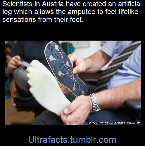 ultrafacts:  Surgeons first rewired nerve endings in the patient’s stump to place