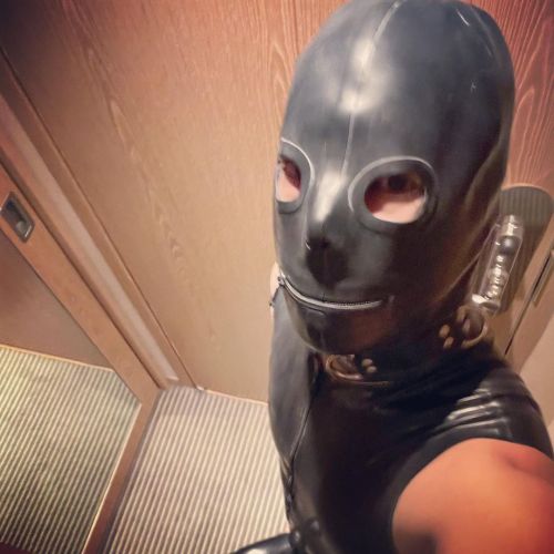 The gimp is back!  • Gear by @regulationstore  •  • • #fetishgear #gayfetish #ga