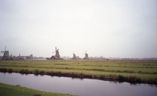 At Zaanse Schans. 風車の残る歴史村、ザーンセスカンスにて。