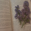 bookhoneysblog