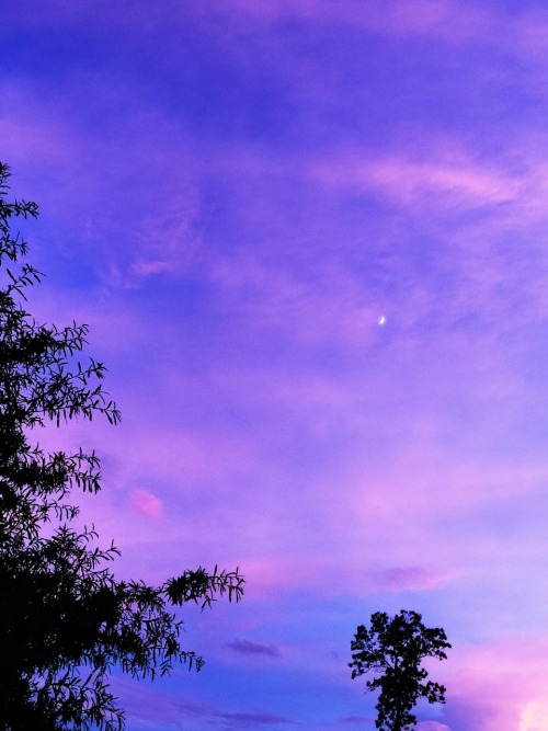 a-little-sprout: the sky was so pretty tonight