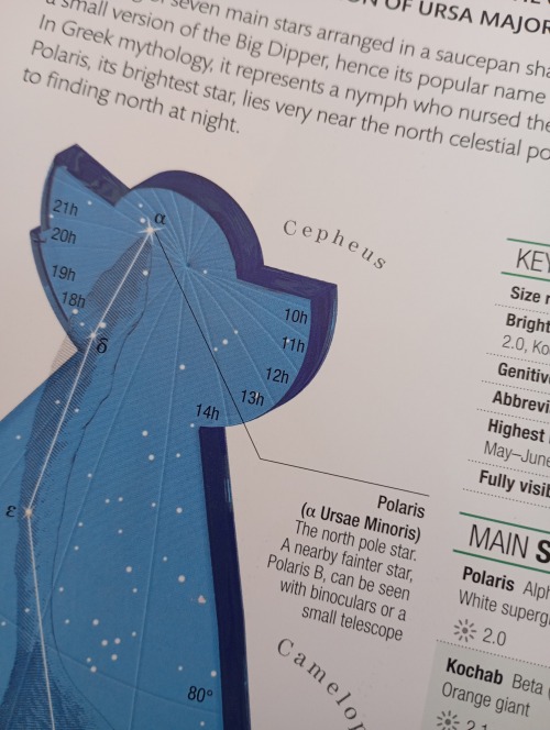 Found This On A Star Encyclopedia Thingy So Uh Yeah. North Star. POLARIS