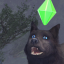 plumbwolf
