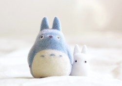 trxnh:  Totoro’s | cr. 