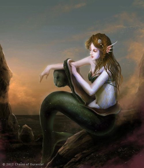 Selkies (Scottish, Icelandic and Faroese folklore) are creatures that can take either human or seal 