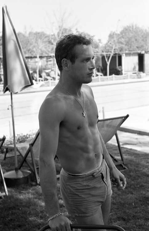 Paul Newman