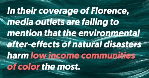 mediamattersforamerica:North Carolina’s industrial hog farms are clustered in a region with the stat