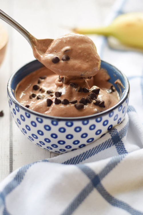 Healthy Chocolate Banana Ice Cream