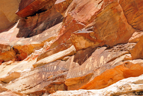 ancientart:The Native American petroglyphs of Gold Butte. Northwest of Las Vegas, Nevada, USA.Photos