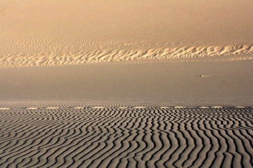 Great Sand Dunes Zachariot Photography