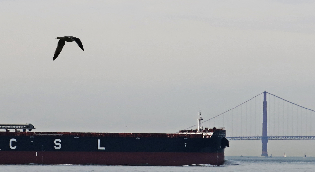 Canadian Steamship Lines