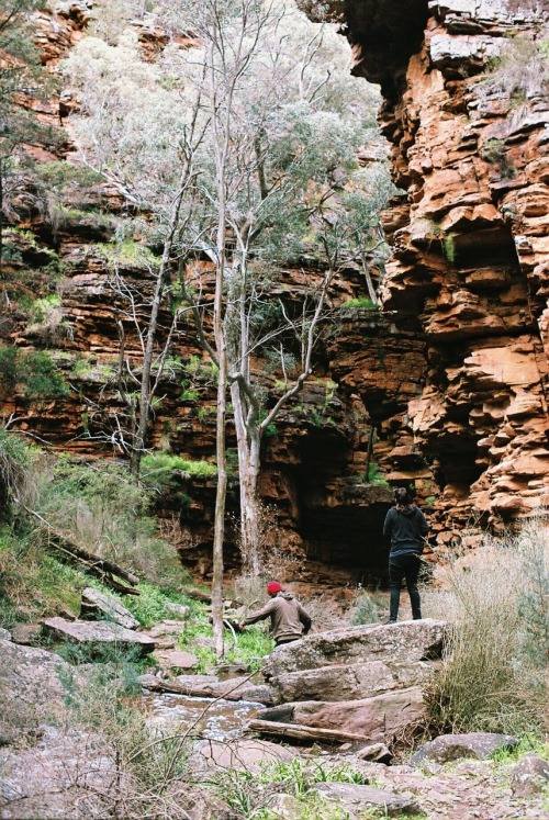 Flinders Ranges camping trip Sept 2016