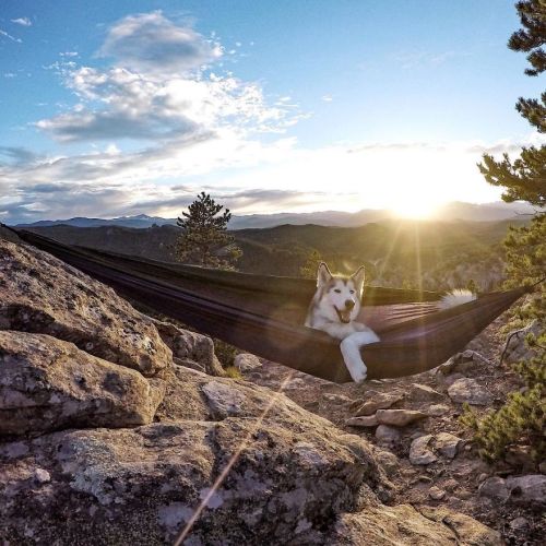 landscape-photo-graphy:Adventures Around The World With Wolfdog In Tow Documented by Professional Hi