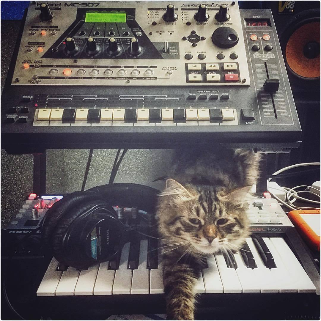 qtzmusic:  #synthcat #🎛 #🎚 #🎹 #synthporn #studioporn #grooveporn #roland