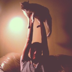 fatlardlover:  Cats in the air…Zach just