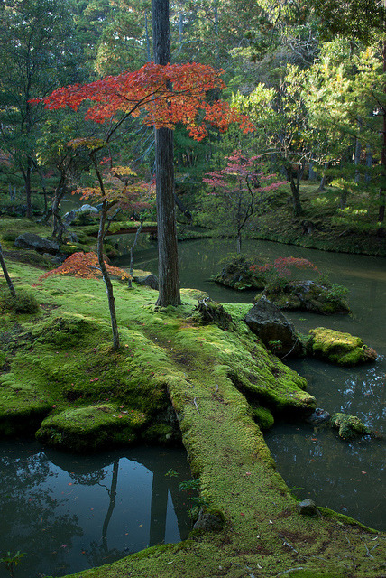 The moss gardens of Saiho-ji Temple in Kyoto, Japan (by I Should Coco).