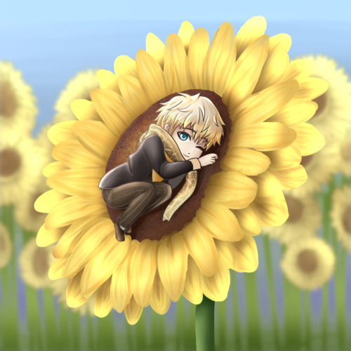 Sunflower Boy~