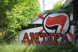 Swedish Anti-Fascist