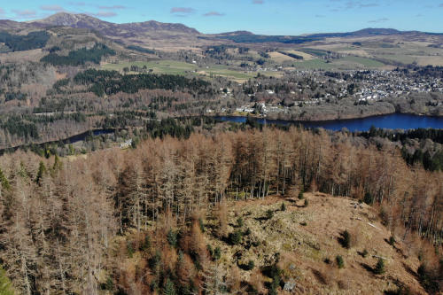 An Dun Hillfort, Pitlochry, Scotland This hillfort (‘an dun’ just means 'the fort’