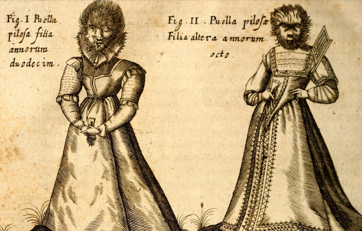 magictransistor: Gaspar Schott. Physica Curiosa, Mirabilia Naturæ et Artis. 1662.