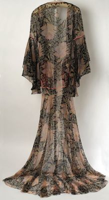 fawnvelveteen:  1926 Tea gown by Jessie