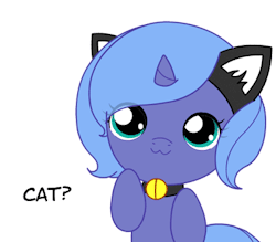 ponies4everypony:  wreckedfluttershy:  hoovesoffury:  Woona is a Kitty Cat by Jdan-S  Woona ^-^  Ccccuuuuuuttttteeeeee.~DangerDan 