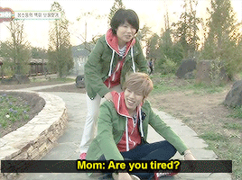 infinite has lied to us