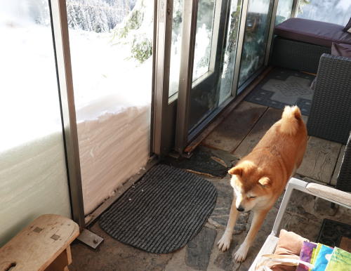 Too much snow to leave the cabin for a walkmission aborted&hellip;