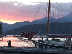 Sunset at Alderbrook Resort