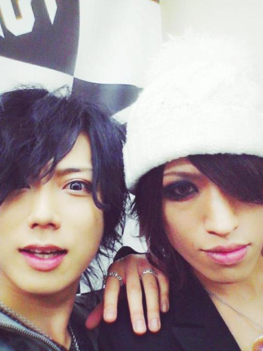 Lycaon