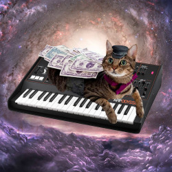 CATS ON SYNTHESIZERS IN SPACE