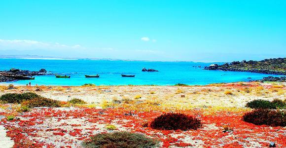 kusta-astronaut:  Top 10: Las mejores playas de ChileAnakena, Isla de PascuaLa Virgen,