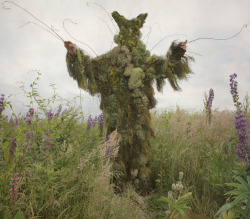 mattressmountains:King of the Weeds, 2013