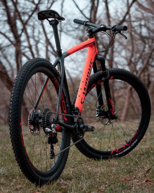 cycleboredom: ✖️ Fat (Tires) Getting Fatter What would you get? My desire to get a mountain bike is 