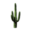 scottymrtnz