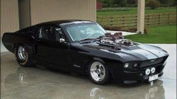 musclecars4ever