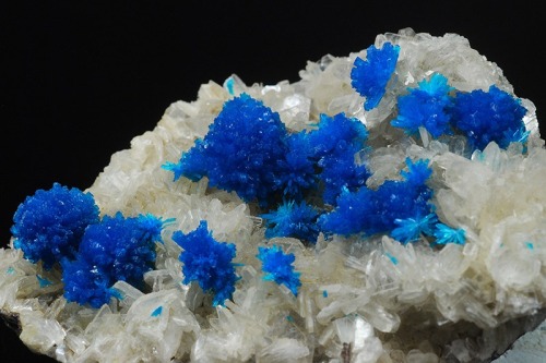 Cavansite and Stilbite - Wagholi quarry, Poona Distr., Maharastra, India