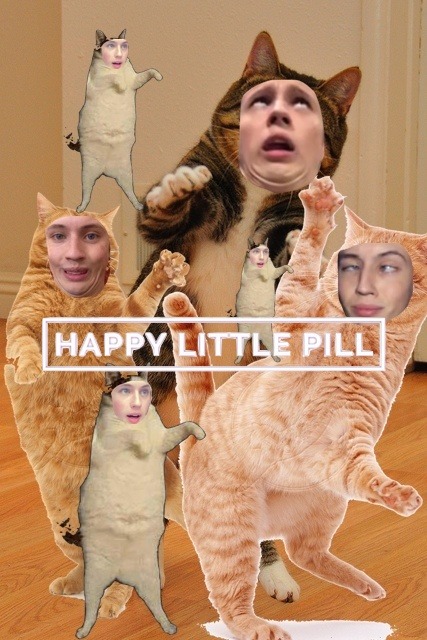 cat-youtubers: The whole fandom right now Discovered via brickflow.com