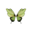 serpentainted