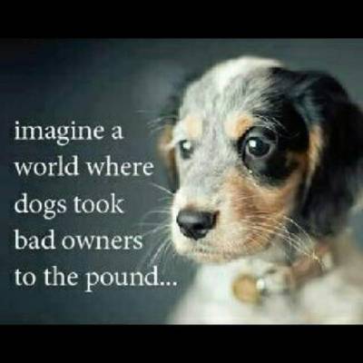 peony911:acurlygirlamy1:I CANNOT LOVE THIS POST ENOUGH!  ❤️❤️❤️❤️❤️❤️❤️❤️❤️❤️❤️❤️❤️❤️❤️❤️❤️❤️