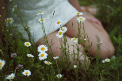 floralls:  Among the Flowers (by {peace&amp;love♥}) 