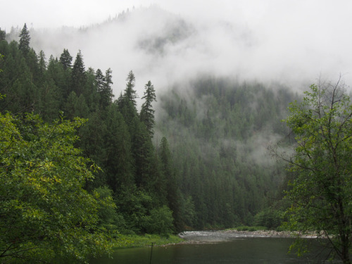 North Fork Clearwater River Idaho by Paden Gould