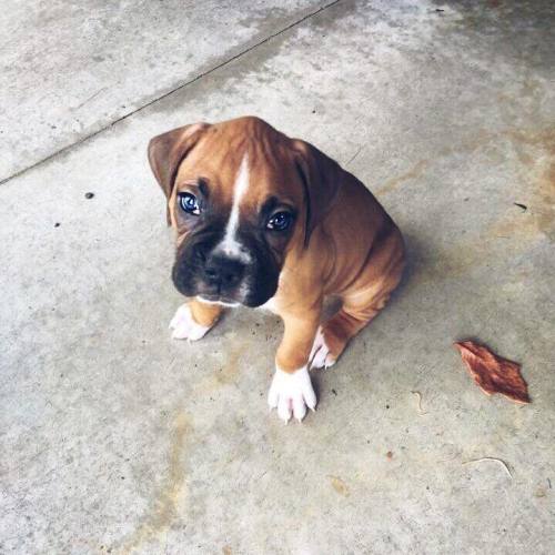 The Most Beautiful Thing You'll See Today.