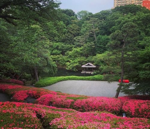 ＼おにわさん更新情報／ ‪[ 東京都港区 ] 八芳園 ⇨ @happoen Happoen Garden, Minato-ku, Tokyo の写真・記事を更新しました。 ――徳川家康の家臣 #大久