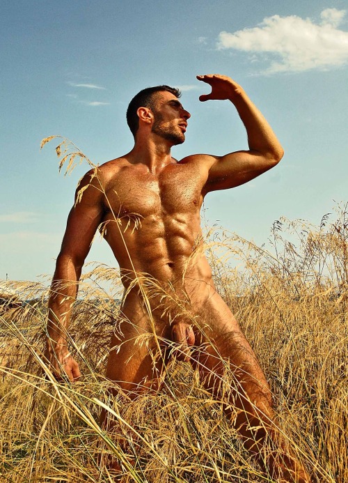 abeautifulpackage:  SCOTT CARTER 