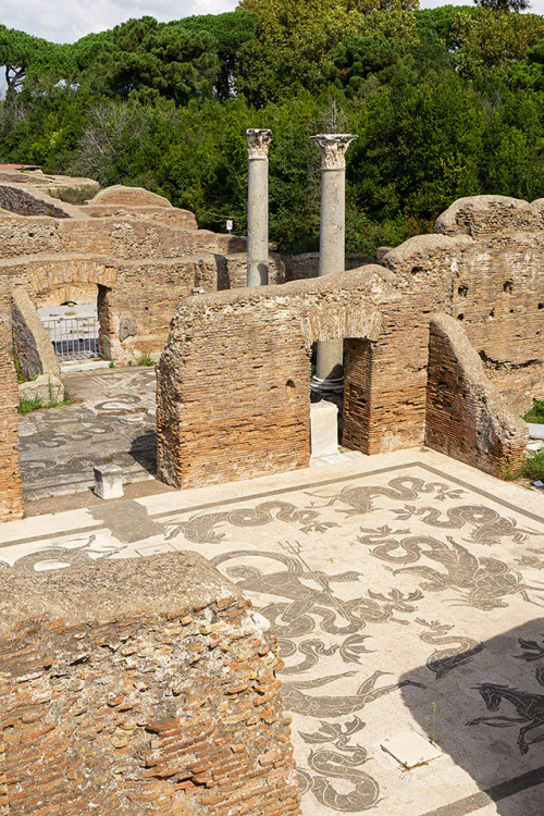 spongeblogspringerpants:Roman baths with tiled floors, Ostia Antica, Italy - Sept 2018There are well